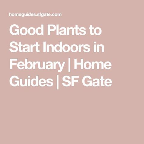 Good Plants to Start Indoors in February | Home Guides | SF Gate Vegetables To Plant, Grommet Panels, Curtains Home, How To Hang, Hanging Curtains, Grommet Curtains, Curtain Panels, Cool Plants, Contemporary Interior