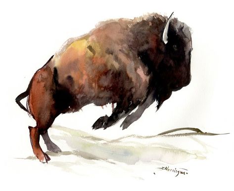 Buy Bison, Watercolor by Suren Nersisyan on Artfinder. Discover thousands of other original paintings, prints, sculptures and photography from independent artists. Bison Artwork, Watercolor Buffalo, Buffalo Art Print, Buffalo Painting, Buffalo Art, American Bison, Great Plains, Bird Artwork, Wild Nature