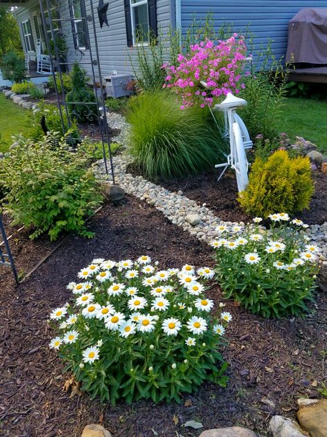 Lawn Tool Organization, Lawn Free Front Yard, Backyard Yard Ideas, Rock Beds, Winter Lawn Care, Bungalow Garden, Landscape Yard, Front Flower Beds, Rock Bed