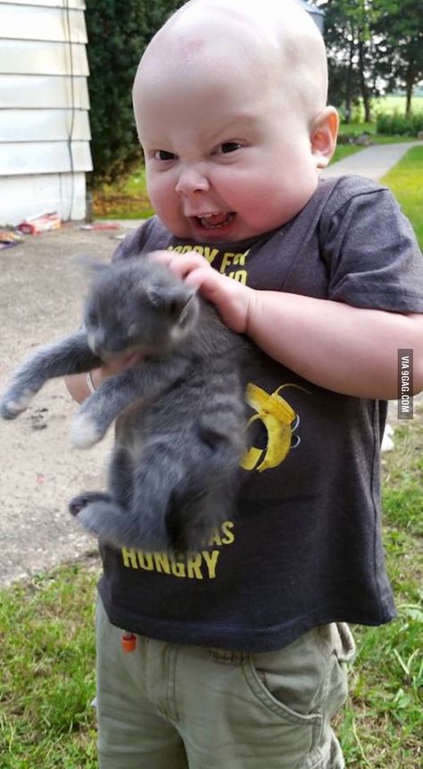 Yesssss! Pet the kitteeh love the kitteeh! Kids Acting, Parenting Photos, Definition Of Insanity, Silly Kids, Funny Picture Quotes, Top 50, Koala Bear, Diy Patio