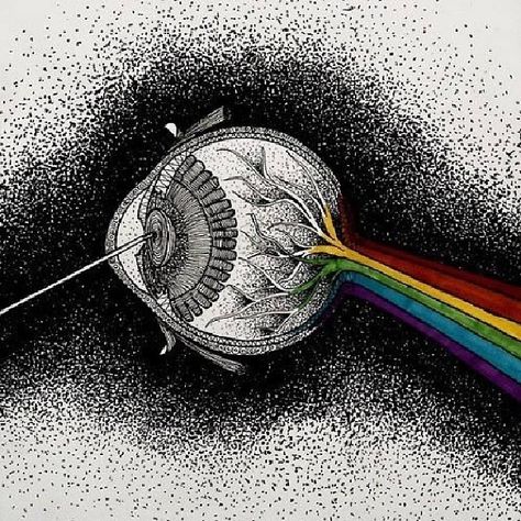 Pink Floyd Art, Rock N’roll, Watering Globe, Eye Art, Pink Floyd, Dark Side, Music Art, In The Middle, The Middle