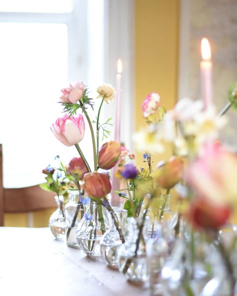 Always my favourite, bud vases and candlelight..... . Mixture of glass bud vases, different size, shapes and textures. Mixture of spring flowers from the growing patch. Candlelight with coloured taper dinner candles. A few tealights. Last night...a bottle or two of Prosecco, good food and friends. . . . . British flower florist | table flower inspiration | bud vase wedding | wedding inspiration Florist Table, Bud Vases Wedding, Glass Bud Vases, Vases Wedding, Beautiful Outdoor Wedding, Glass Bud Vase, Dinner Candles, British Flowers, Table Flower