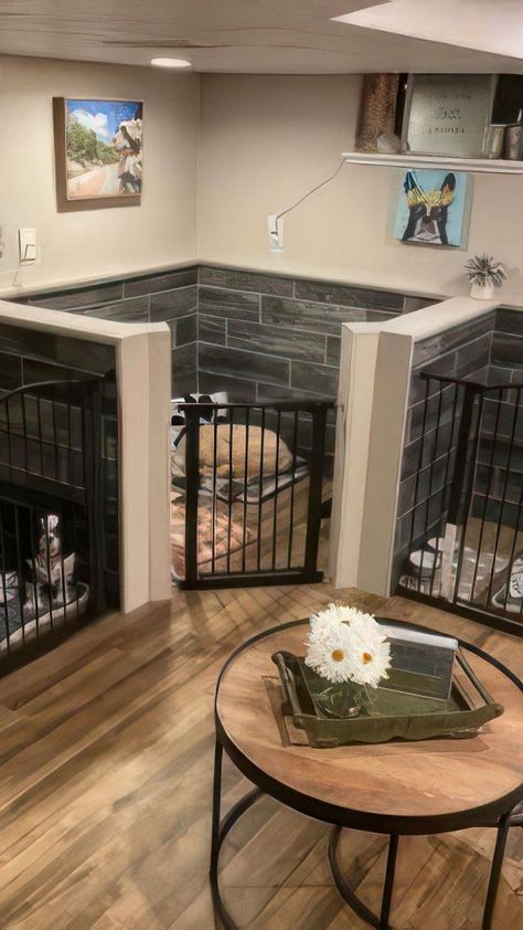 Dog Kennel Inside, Indoor Dog Pen, Dog Run Side Yard, Dog Room Design, Outdoor Dog Area, Whelping Puppies, Hotel Pet, Dog Boarding Facility, Dog Bedroom