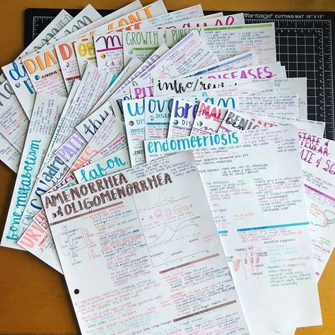 28 pages of study notes brightly coloured mix ★·.·´¯`·.·★ follow @motivation2study for daily inspiration College Notes, Study Flashcards, Fundamentals Of Nursing, Nursing School Notes, School Organization Notes, So Weird, Study Organization, Pretty Notes, Notes Inspiration