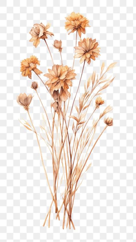 Brown Flowers Aesthetic, Bouquet Drawing, Flower Bouquet Drawing, Aesthetic Brown, Flowers Png, Png Aesthetic, Brown Flower, Brown Flowers, Dry Flowers