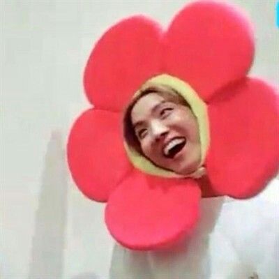 Bts Meme Faces, Bts Reactions, Hoseok Bts, Bts Imagine, Bts Funny Moments, Bts Meme, Kpop Meme, Memes Bts, K Pop Memes