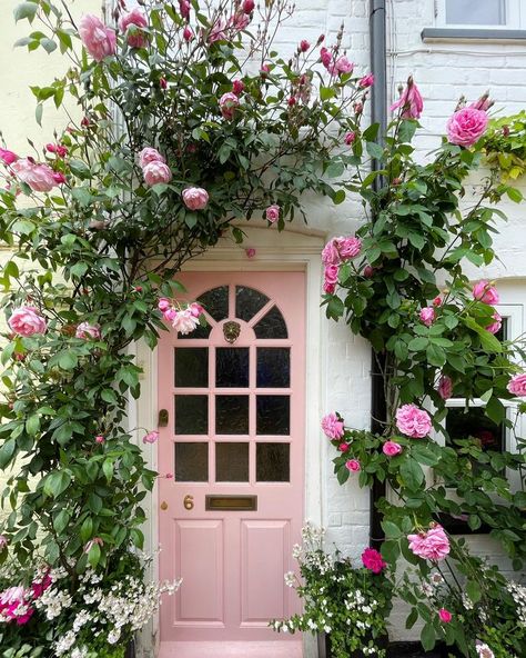 Vine Decor Ideas, House Entrance Ideas Indian, Vine Decor, Decorative Doors, Vine Plants, Cafe Inspiration, Rose Garden Design, Porch Styles, Cottage Porch