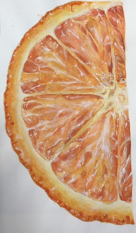 Close Up Drawings Art Projects, Watercolour Natural Forms, Gcse Watercolour, Natural Forms Art Gcse, Natural Forms Art, Watercolour Orange, Fruit Drawings, Art Homework, Alevel Art