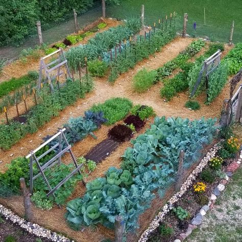 ​​﻿​﻿﻿11 Vegetable Garden Ideas | The Family Handyman Garden Layout Vegetable, Potager Garden, Backyard Vegetable Gardens, Veg Garden, Secret Gardens, Have Inspiration, Home Vegetable Garden, Vegetable Garden Design, Food Garden