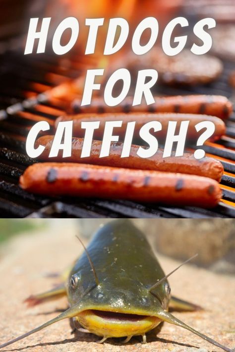 Catfish Trap, Catfishing Tips, Homemade Catfish Bait, Best Catfish Bait, Bottom Fishing Rigs, Catfish Rigs, Fishing Catfish, How To Catch Catfish, Fishermans Knot