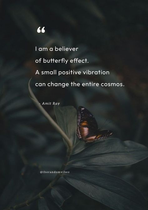 Butterfly Effect Quotes, Butterfly Effect Theory, Butterfly Theory, Theory Quotes, The Butterfly Effect, Domino Effect, Chaos Theory, Butterfly Effect, The Chaos