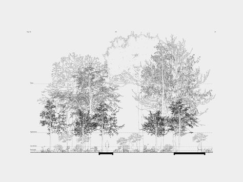 51N4E , Filip Dujardin, Blerta Kambo · Skanderbeg Square · Divisare Landscape Design Drawings, Section Drawing, Conceptual Drawing, Architecture Panel, Architecture Presentation Board, Plans Architecture, Architecture Collage, Architecture Graphics, Presentation Layout