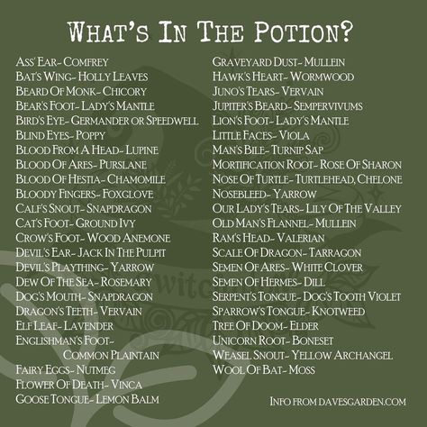 @awitchalone: “Continuing on from the post of old herb names!⁠ ⁠ While Eye of Newt isn't listed here, it's…” Herb Names, 12 Grapes, Eye Of Newt, Code Words, Witch Potion, Jack In The Pulpit, Witch Things, Witchy Tips, Wiccan Spell Book