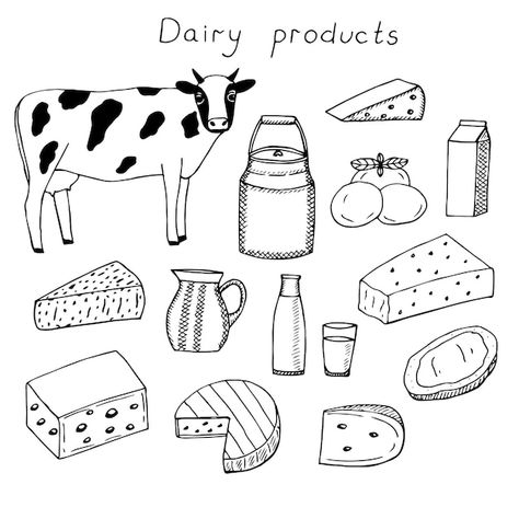 Set of dairy products vector illustratio... | Premium Vector #Freepik #vector #milk-jug #milk-bottle #milk-can #mozzarella-cheese Dairy Products Drawing, How To Draw Milk, Dairy Drawing Ideas, Hand Drawing Doodles, Milk Doodle, Dairy Illustration, Dairy Drawing, Drawing Ideas Love, Milk Drawing