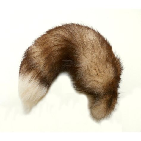 Reddish Brown Blonde White Tipped Fox Fluffy Long Fur Wolf Dog Tail... ($80) ❤ liked on Polyvore featuring accessories and tail Fox Tail Costume, Werewolf Ears And Tail, Tiger Ears And Tail, Fox Tail Plug, Wolf Tail, Tiger Tails, Animal Tails, White Tip, Reddish Brown