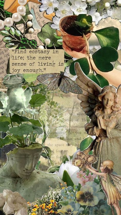 Created by mellohmii on Shuffles Green Moodboard Aesthetic, Green Moodboard, Fairy Wallpaper, Moodboard Aesthetic, Picture Albums, Collage Vintage, Vintage Garden, Aesthetic Collage, Garden Flowers