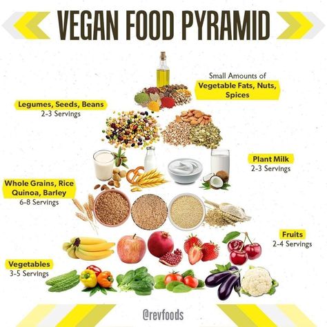 Vegan Nutrition + Fitness Info on Instagram: “Vegan Food Pyramid by @revfoods 😎⁠ ⁠ Does your daily food intake look like this?⁠ ⁠ At the base of the pyramid it’s fruit (2-4 servings)…” Vegan Food Pyramid, Ital Food, Growing Sage, Veggie Diet, Vegan Benefits, Vegan Facts, Food Pyramid, Vegan Inspiration, Low Carb Vegan