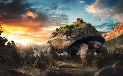 The Turtle | Matte Painting on Behance Matte Painting Photoshop, Photoshop Painting Tutorial, Paint Software, Cool Photoshop, Photoshop Painting, Matte Painting, Photoshop Photography, Photo Retouching, Graphic Design Advertising