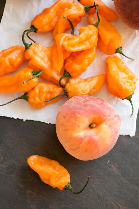 Habanero Peach Hot Sauce, Peach Hot Sauce Recipe, Mango Hot Sauce Recipe, Habanero Pepper Recipes, Scotch Bonnet Pepper Recipes, Fruit Hot Sauce, Peach Hot Sauce, Habanero Recipes, Hot Pepper Recipes