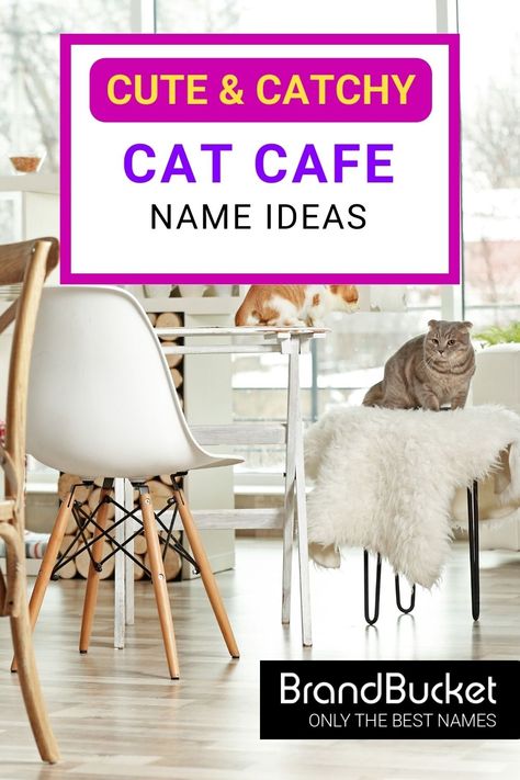 In search of amazing Cat Cafe Names? You’ve come to the right place! In this collection, you'll find 50+ catchy brand names for Cat Cafés that will make your business purrfect. Check out the names here! cat cafe name ideas, cat cafe names, names for cat cafe, cat cafe business card, Cafe names ideas, cafe names, cafe names ideas logo, Cafe names ideas creative, Cafe names ideas inspiration, Cafe names ideas coffee, Cafe name design, Cafe name board Cat Cafe Name Ideas, Cafe Names Ideas Logo, Cafe Names Ideas Creative, Cafe Business Card, Cafe Names Ideas, Find A Business Name, Company Name Generator, Bakery Names, Logo Cafe