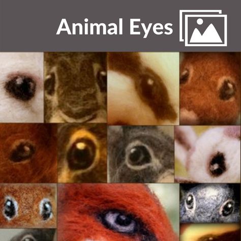 Felting Tips, Animals Eyes, Felt Critters, Felting Diy, Felted Projects, Felting Tutorial, Needle Felting Tools, Realistic Eyes, Needle Felting Tutorial