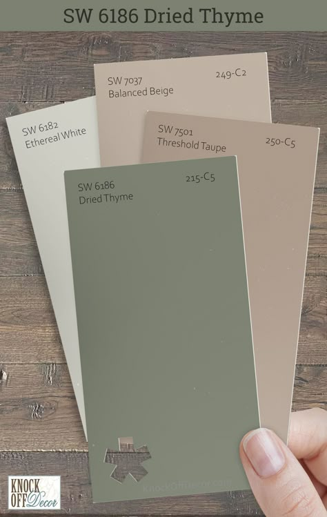 Furniture Color Ideas Bedroom, Sage Green Dining Room Accent Wall, Small Living Room Ideas Paint Colors, Sage Green Waynes Coating, Sw Threshold Taupe, House Painting Ideas Interior Farmhouse, Green And Beige Paint Colors, Houses That Are Green, Dryer Thyme Sherwin Williams