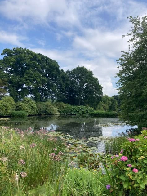 #flower #aesthetic #summer #lake #landscape #landscaping #art #nature #monet Ponds Aesthetic, Dreamy Summer Aesthetic, Lake Aesthetics Summer, Dreamy Nature Aesthetic, Cottagecore Lake, Pond With Flowers, Lake Reference, Summer Lake Aesthetic, Pond Photography