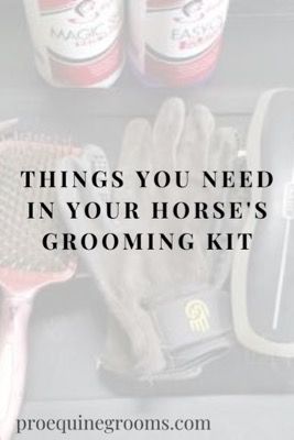 The Horse Grooming Kit https://www.proequinegrooms.com/tips/equipment-and-tack/the-grooming-box Horse Grooming Supplies, Horse Grooming Kit, Grooming Horse, Leg Care, Equestrian Problems, Natural Horsemanship, Show Horse, Horse Training Tips, Barrel Horse