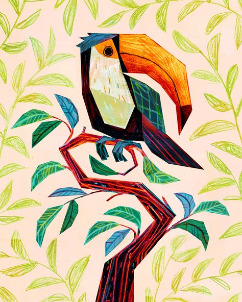 Animal Drawings 2021 on Behance Toucan Illustration, Toucan Art, Storybook Art, Oil Pastel Art, Flower Sketches, Bird Illustration, Illustration Artists, Painting Illustration, Animal Illustration