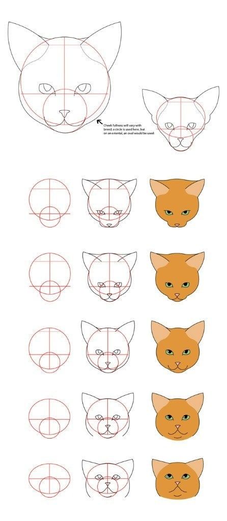 Cat Face Drawing, Dog Drawing Tutorial, Draw Cats, Cat Drawing Tutorial, Cats Art Drawing, Cat Anatomy, Drawing Tutorial Face, Cat Sculpture, Cat Tutorial