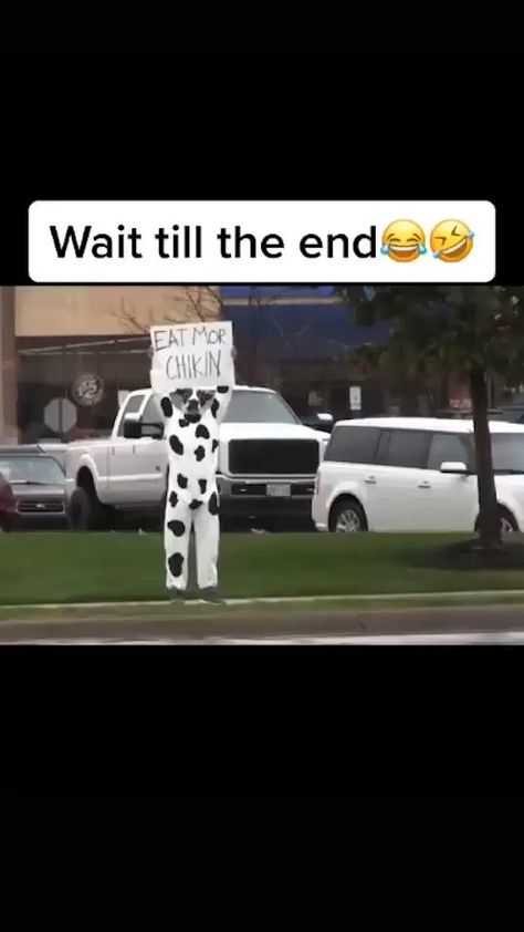 Weird Pics Funny, Weird Videos, Funny Tiktoks, Funny Tiktok, Tic Tok, Random Videos, Funny Meems, Funny Vidos, Funny Animal Jokes