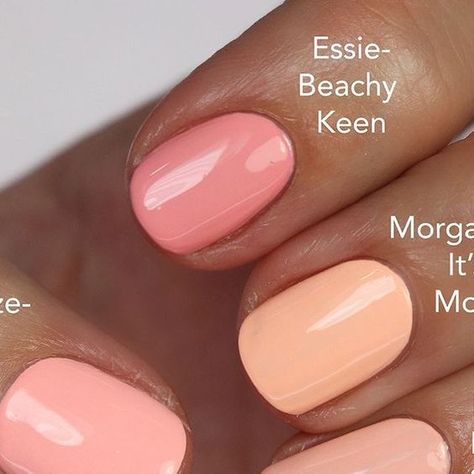 Laurie on Instagram: "You can’t ever go wrong with peach/coral polishes! 🍑❤️ We are finally getting to warmer weather here and these are some I’m pulling out to wear! Did you see my favorite peach/coral video that went up last week on my YouTube channel. Which polishes were your favorite? Here are 5 of the 20+ I mentioned. They are all so good!! . . #coralpolish #spring2023 #springnails2023 #coralnails #gopolishedcomps" Light Coral Nail Polish, Peach Nail Polish, Coral Nail Polish, Peach Nails, Coral Nails, Cream Nails, Light Coral, Peaches N Cream, Coral Peach