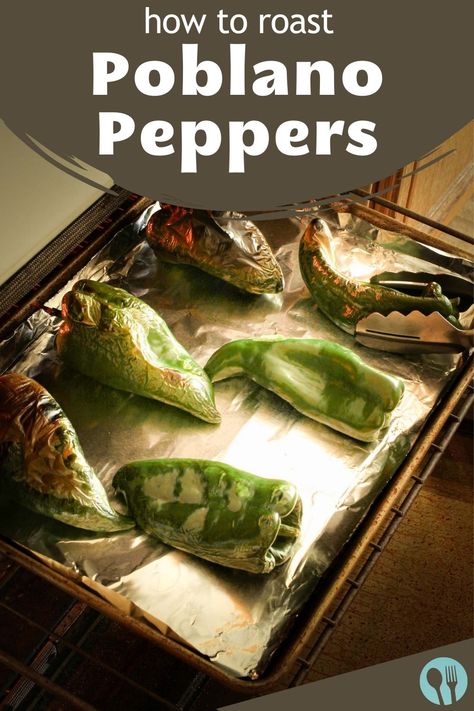 Roasted Poblano Peppers Poblano Peppers Recipes, Roasted Poblano Peppers, Roasted Poblano, Poblano Peppers, How To Roast, Hispanic Food, Stuffed Poblano Peppers, Cooking For Two, Roasted Peppers