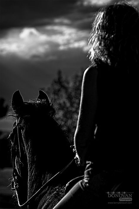 A touch of light by Barry Donovan on 500px Horse Background, Woman Riding Horse, Cowgirl Photoshoot, Horse Photography Poses, Bareback Riding, Horse Riding Aesthetic, Horse Artwork, Female Art Painting, All The Pretty Horses