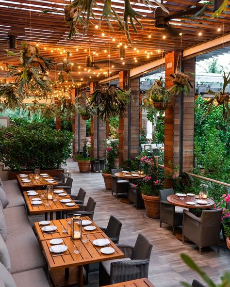 Outdoor Restaurant Patio, Design Per Patio, Rooftop Restaurant Design, Restaurant Exterior Design, Modern Restaurant Design, Outdoor Restaurant Design, Restaurant Exterior, Restaurant Patio, Outdoor Cafe