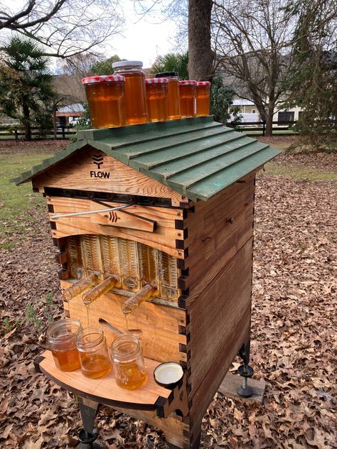 Flow Hive Hive Aesthetic, Bee Hive Aesthetic, Bee Hives, Flow Bee Hive, Hive Architecture, Hive City, Bee Keeping Hives, Flow Hive, Flow Hive Beekeeping