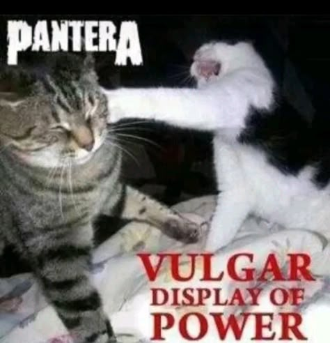 Vulgar Display Of Power, Pantera Band, Rock History, Black Memes, Doom Metal, Metal Albums, Band Wallpapers, Band Memes, Thrash Metal