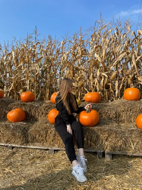 Pumping Patch Outfit, Pumpkin Picking Photo Ideas, Pumpkin Instagram Pictures, Pumpkin Patch Picture Ideas, Pumpkin Patch Inspo Pics, Pumpkin Patch Instagram Pictures, Fall Pumpkin Patch Poses, Pumpkin Patch Photography, Fall Instagram Pictures Pumpkin Patch