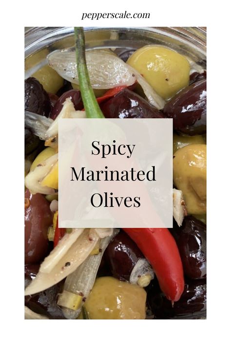 Elevate your cocktail hour with these flavorful spicy marinated olives! Infused with a blend of spices, these olives pack a punch that will leave your taste buds tingling. This recipe is perfect as a spicy appetizer for any party. Spicy Olive Oil Recipe, Best Marinated Olives, Marinated Olives And Cheese, Spicy Marinated Olives, Marinated Olives Appetizer, Spanish Marinated Olives, Spicy Appetizers, Marinated Olives, Pickled Garlic