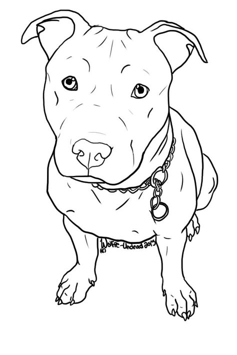 Image result for how to draw a pitbull face Pitbull Colors, Pitbull Pups, Pit Bull Drawing, Pitbull Drawing, Dachshund Drawing, Airbrush Stencils, Pitbull Tattoo, Pitbull Art, Pitbull Pictures