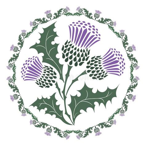 Thistle Flower, Stock Illustration, Scotland, Stock Vector, Vector Illustration, Purple, Flowers, White