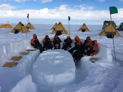 Field notes from Antarctic marine scientist Dr Michelle LaRue, on work and play on the world's Southernmost continent. Arctic Research Station, Marine Scientist, Night Anime, Environmental Scientist, Southern Ocean, Fate Stay Night Anime, Research Lab, Field Notes, Marine Biology