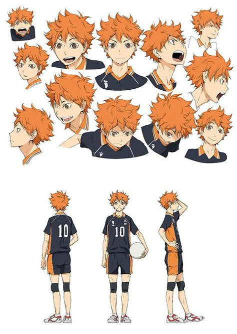 Shōyō Hinata/Image Gallery | Haikyuu!! Wiki | Fandom powered by Wikia Character Design Challenge, Hinata Shoyo, Character Sheets, Model Sheet, Haikyuu Manga, Haikyuu Characters, Haikyuu Fanart, Haikyuu 3, Character References