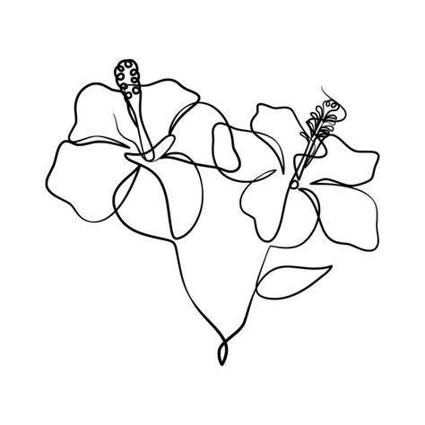 Line Art Drawing, One Line Art, Hibiscus Flower, Hibiscus Flowers, Line Art Drawings, Art Drawing, Hibiscus, Line Art, Vector Art