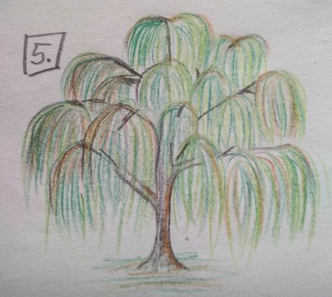 willow tree, vrba, draw, kreslená The Giving Tree Drawing, Easy Willow Tree Drawing, Easy Tree Sketch, How To Draw A Willow Tree, Tree Ideas Drawing, Weeping Willow Tree Drawing, Willow Tree Sketch, Old Tree Drawing, Tree With Roots Drawing