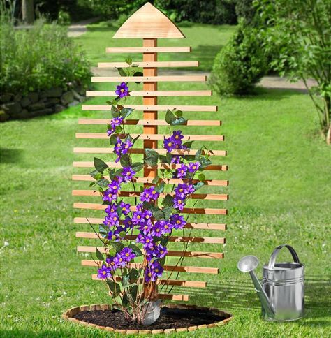 Pine Leaf-Shaped Trellis Bestows Garden with Summer-Ready Look Gardening Flowers, Have Inspiration, Front Yard Landscaping Design, Garden Trellis, Garden Structures, Garden Crafts, Dream Garden, Yard Landscaping, Garden And Yard