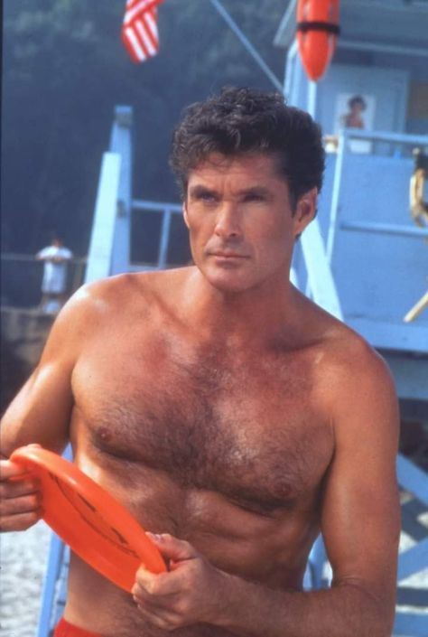 David Hasselhoff, Knight Rider, Baywatch, Quick Saves