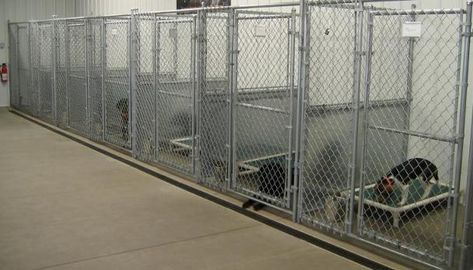 Dog Kennel Inside, Kennel Design, K9 Kennels, Portable Dog Kennels, Cheap Dog Kennels, Portable Building, Luxury Dog Kennels, Dog Boarding Kennels, Indoor Dog Kennel