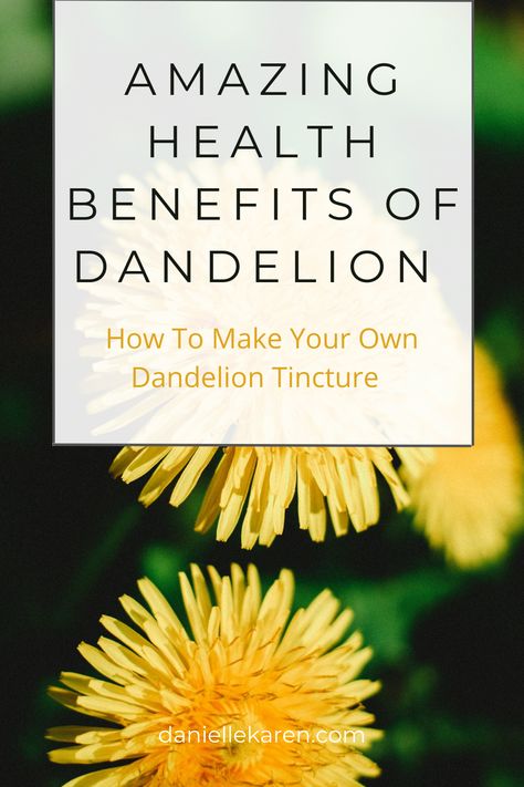 Benefits of Dandelion - Herbal Remedies Dandelion Tincture, Dandelion Uses, Benefits Of Dandelion, Dandelion Oil, Medicinal Wild Plants, Dandelion Benefits, Tinctures Recipes, Herbal Remedies Recipes, Dandelion Tea