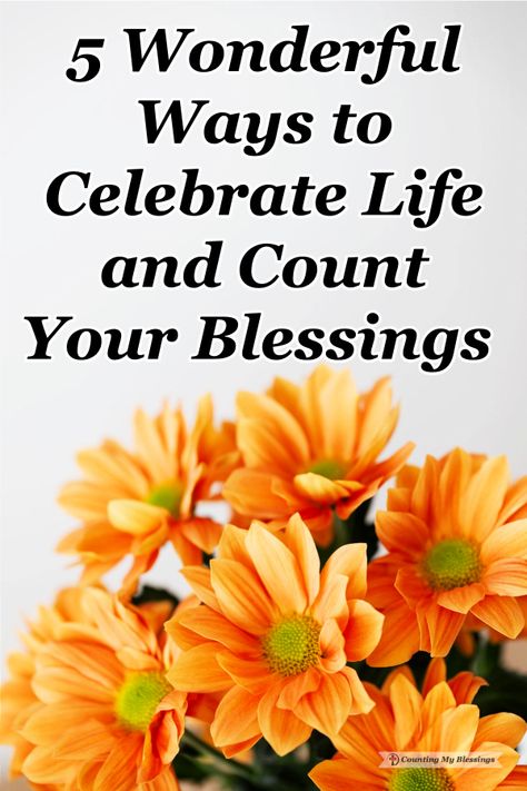 It's easy to get distracted by busyness and challenges but we will have more fun and enjoy more happiness when we count our blessings and celebrate life! #countyourblessings #celebratelife #worshipGod #Blessings Praying For Someone, Always Remember Me, Count Your Blessings, Rejoice And Be Glad, Womens Bible Study, Worship God, Spiritual Experience, Celebrate Life, Christian Encouragement